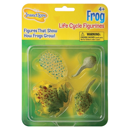 INSECT LORE Frog Life Cycle Stages Figure Set 2610